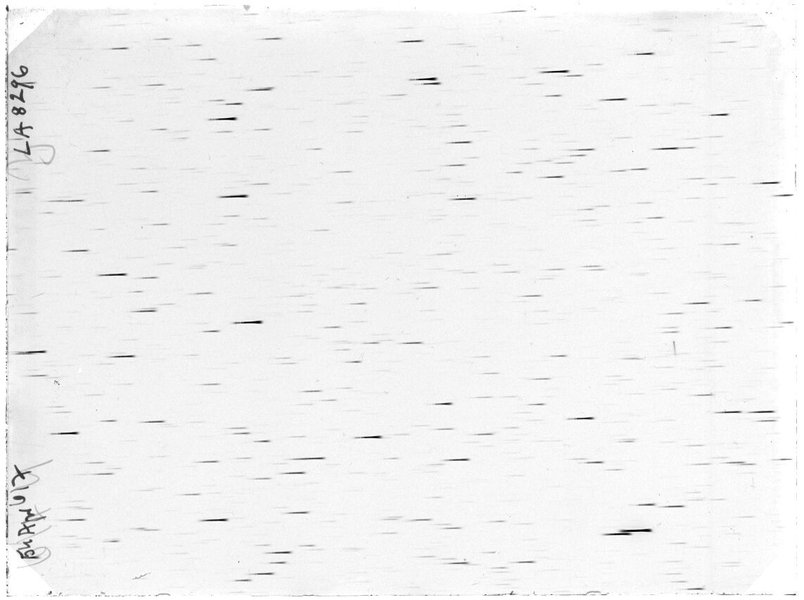 Scan LA08296