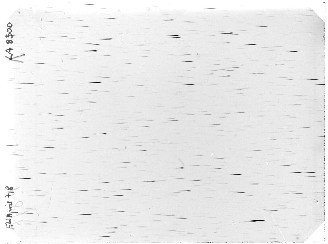 Scan LA08300