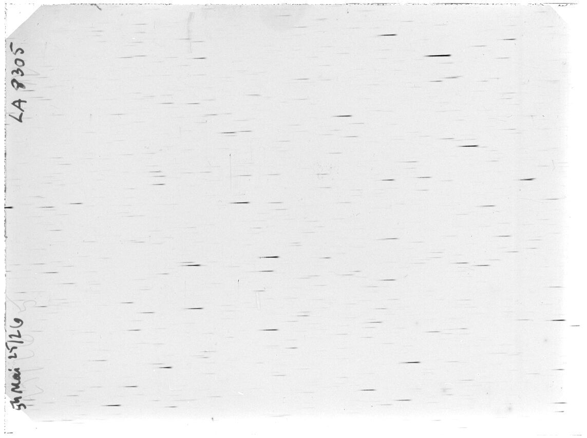 Scan LA08305