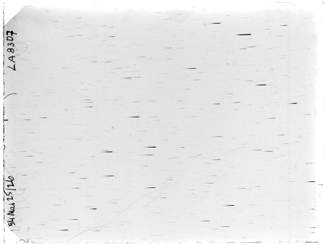 Scan LA08307