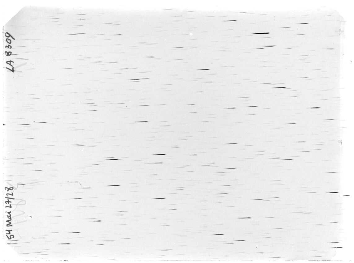 Scan LA08309