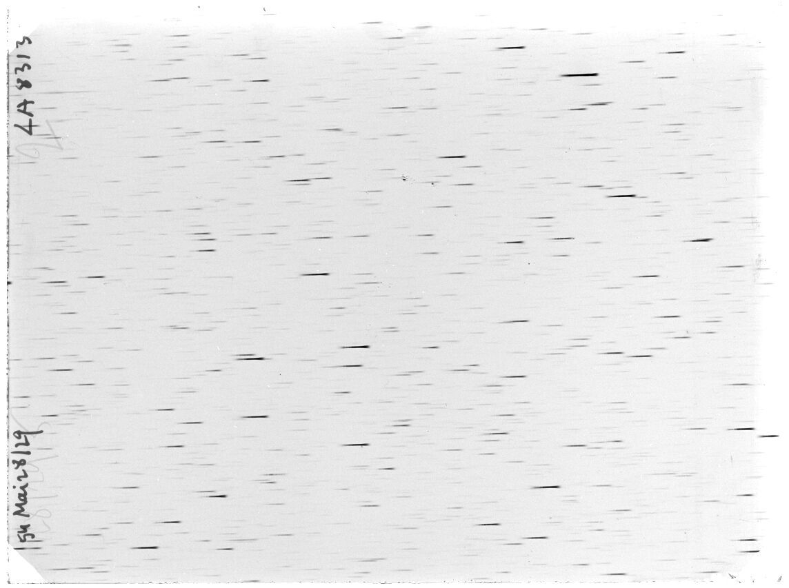 Scan LA08313