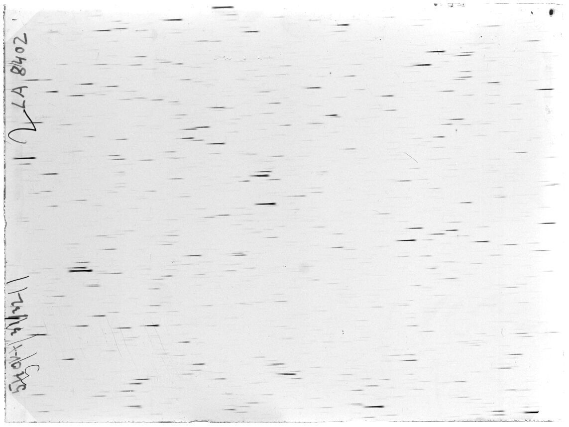 Scan LA08402