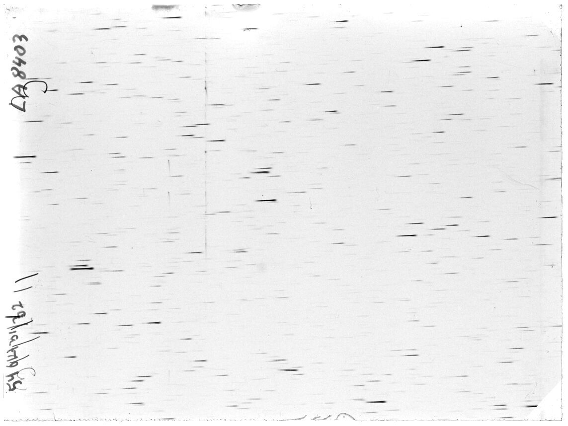 Scan LA08403
