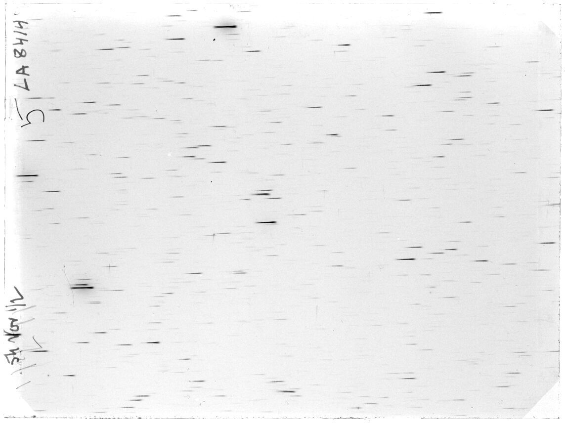 Scan LA08414
