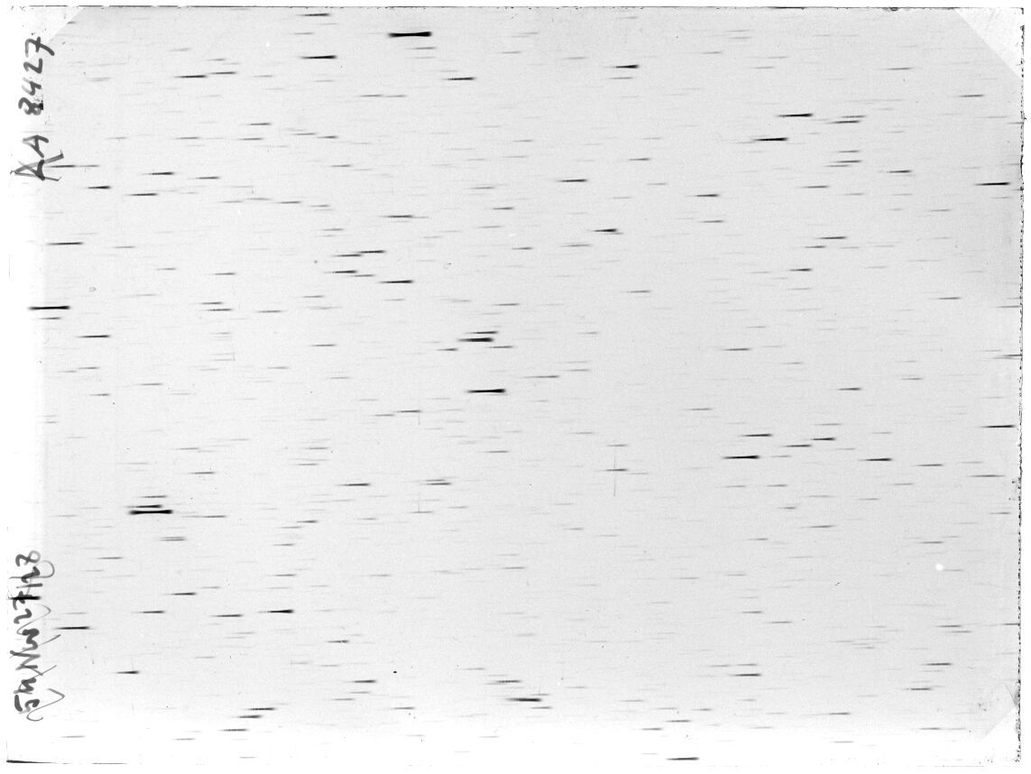 Scan LA08427