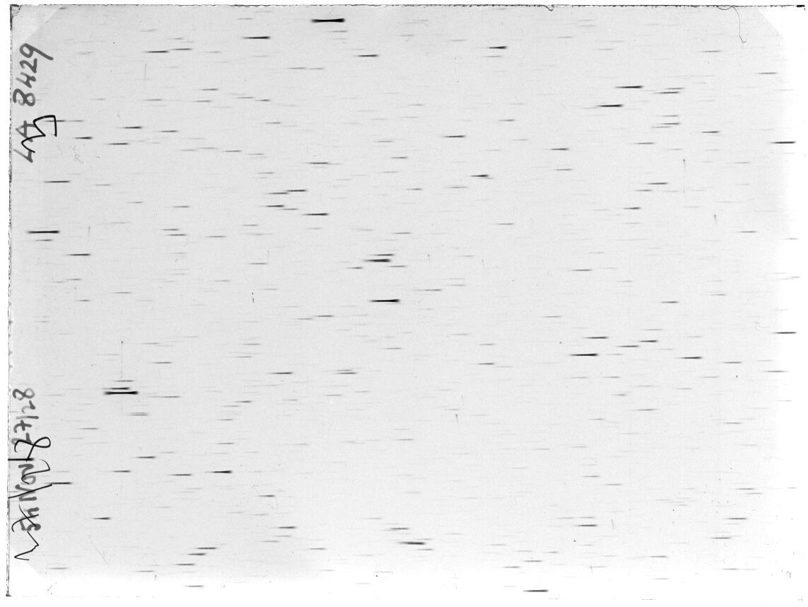 Scan LA08429