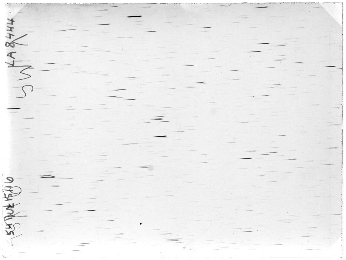 Scan LA08444