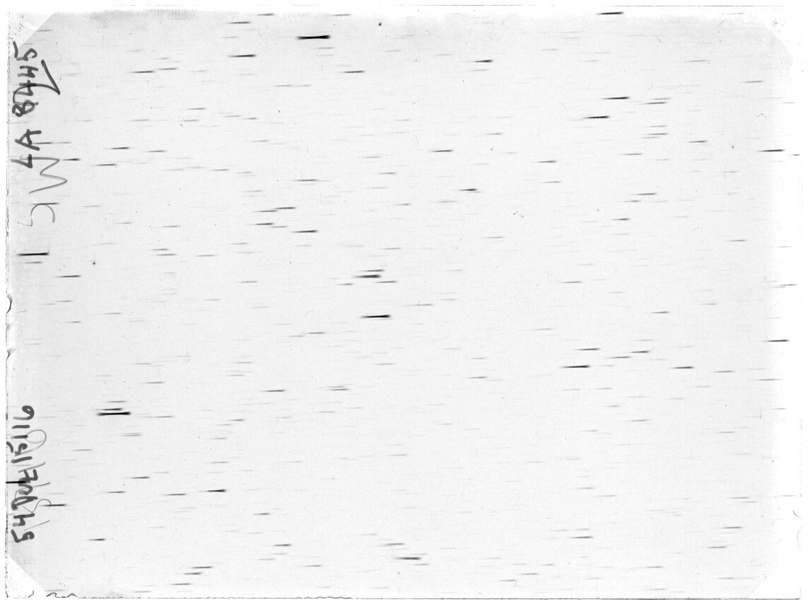 Scan LA08445