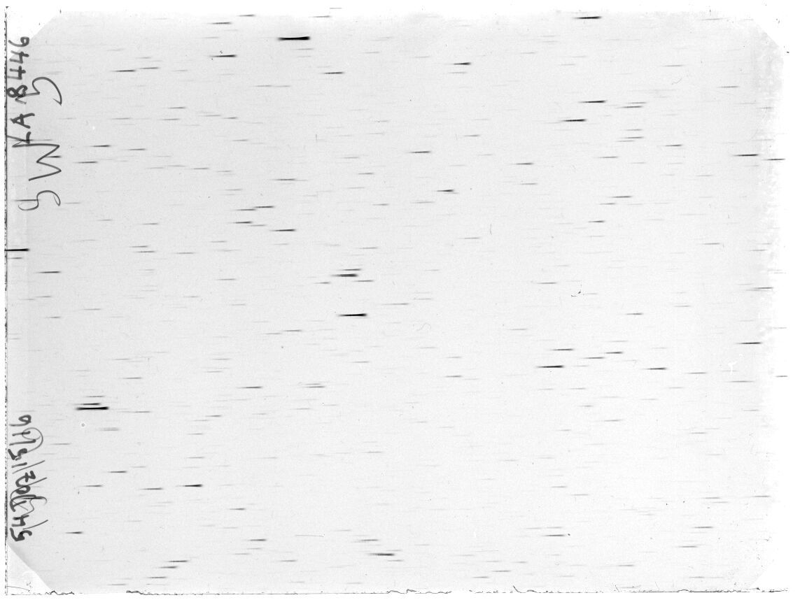 Scan LA08446