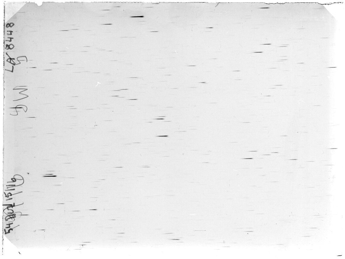 Scan LA08448