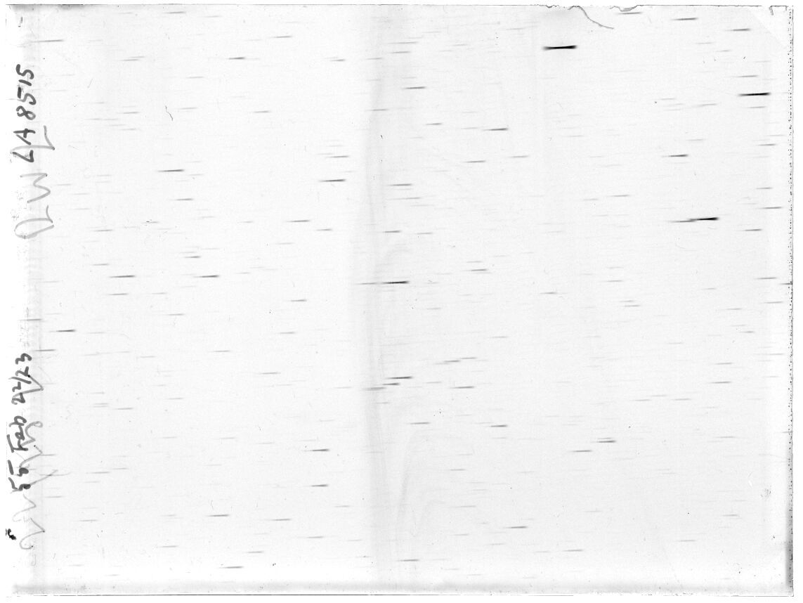 Scan LA08515