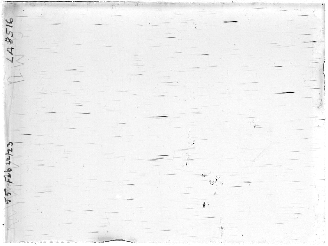 Scan LA08516