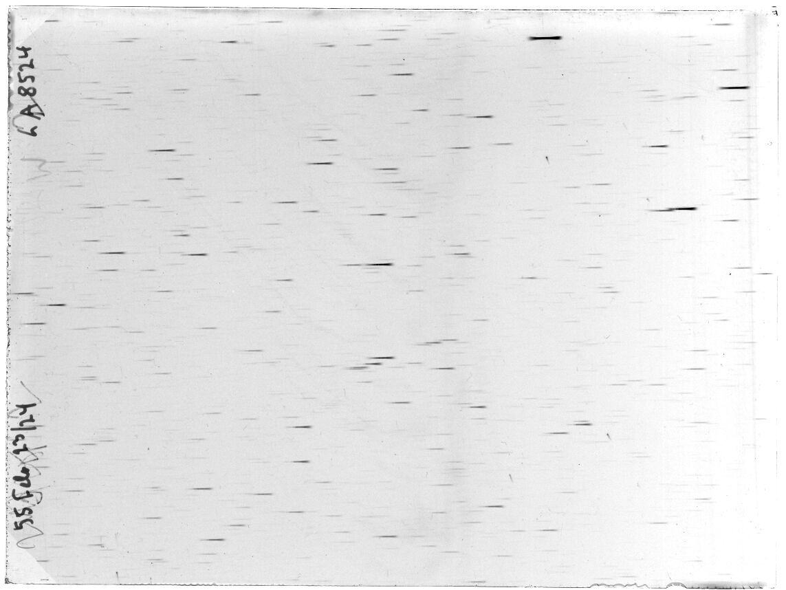 Scan LA08524