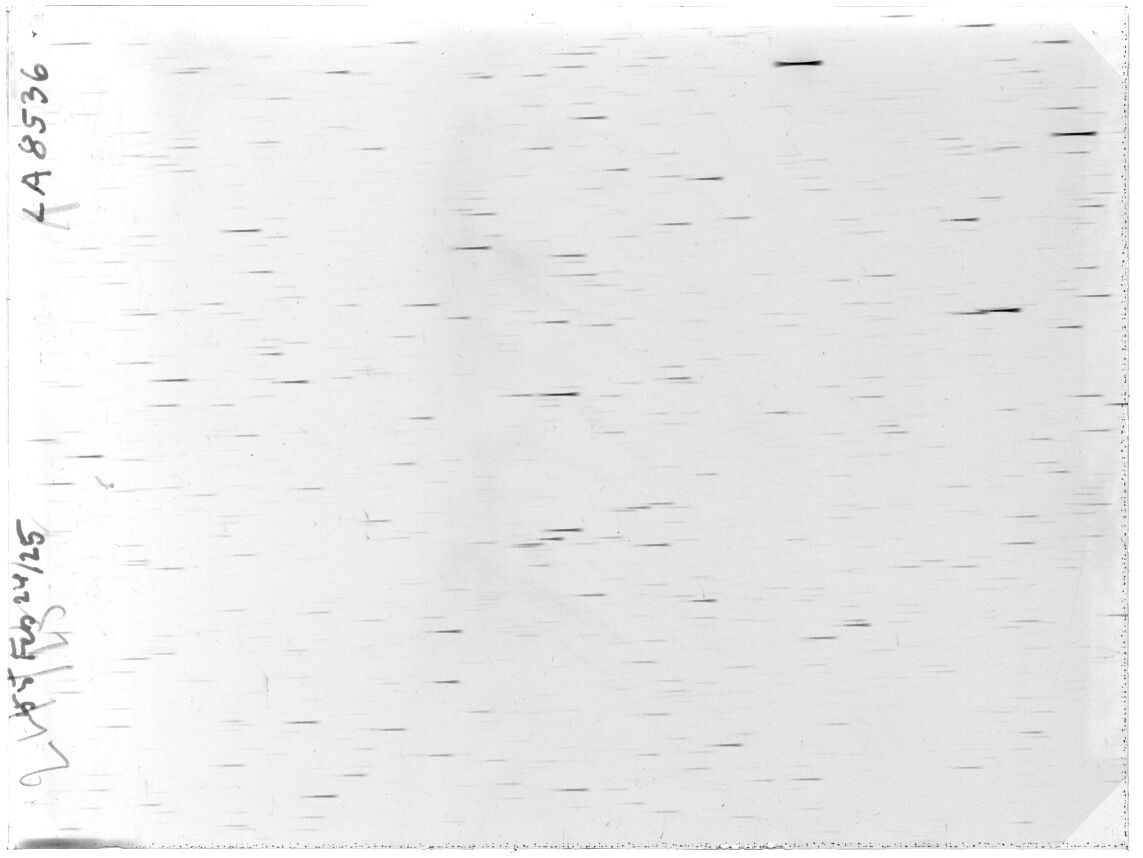 Scan LA08536