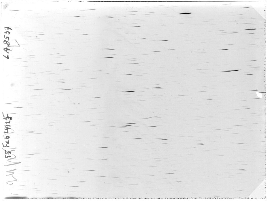 Scan LA08537