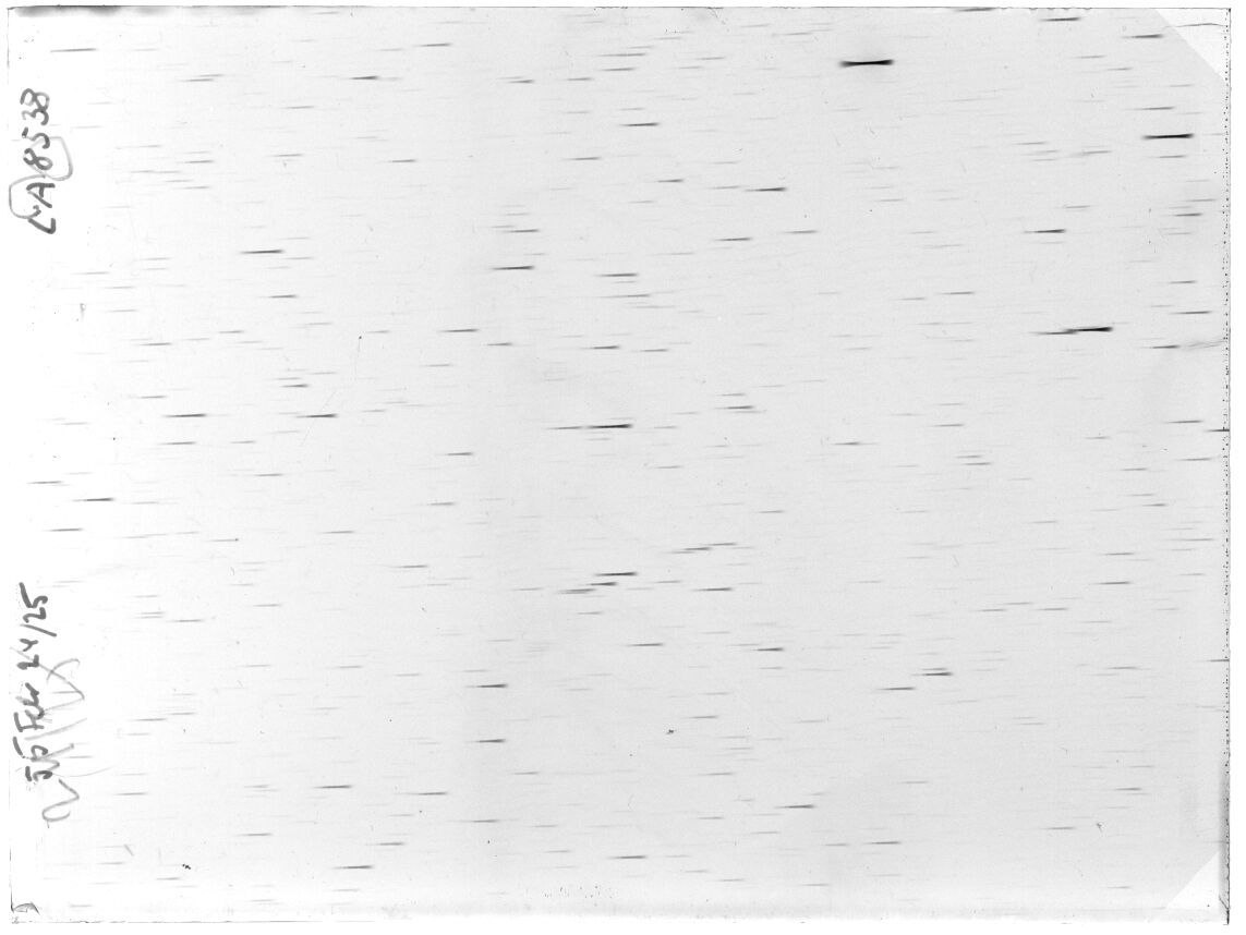 Scan LA08538