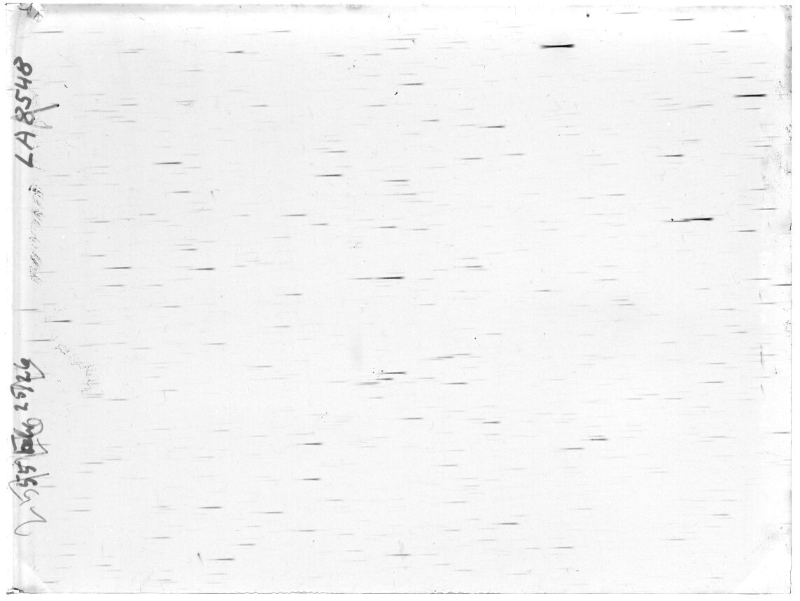 Scan LA08548