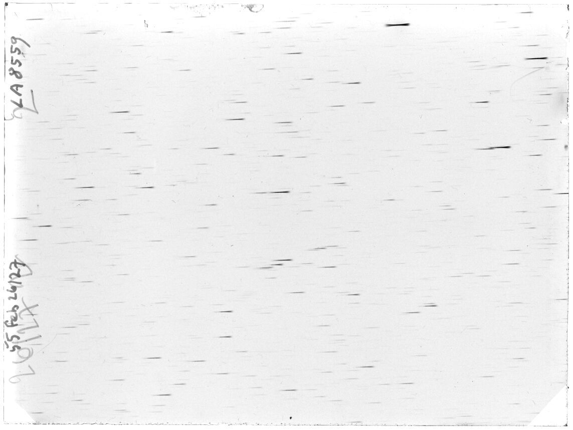 Scan LA08559