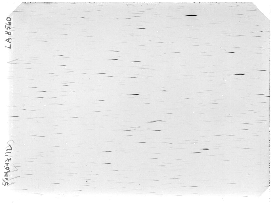 Scan LA08560