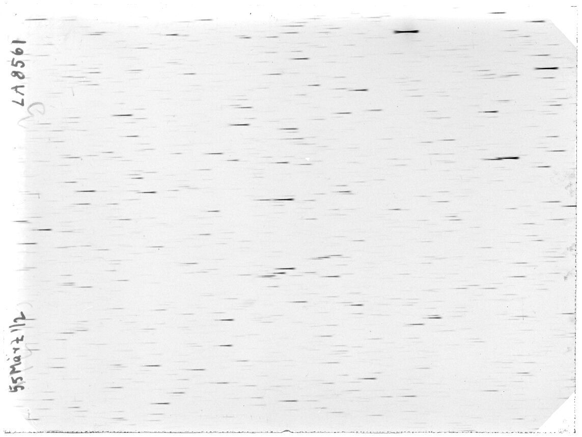 Scan LA08561