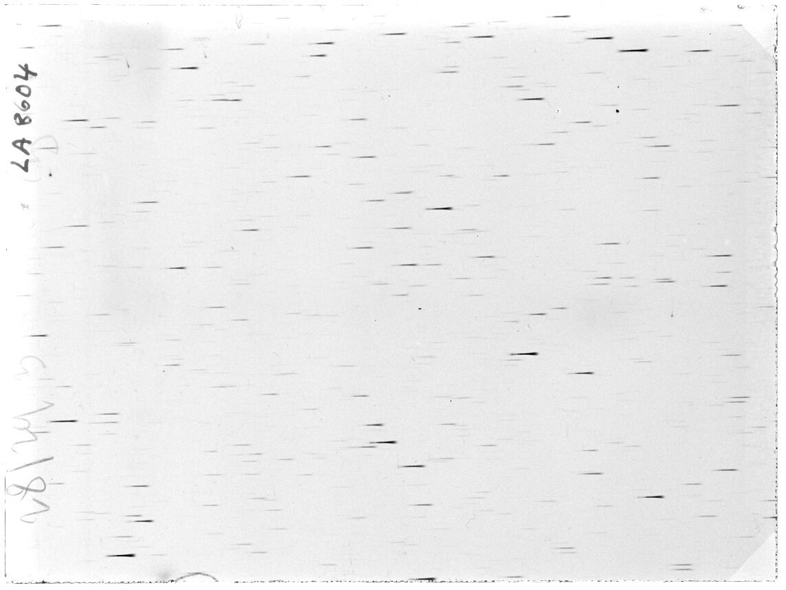 Scan LA08604