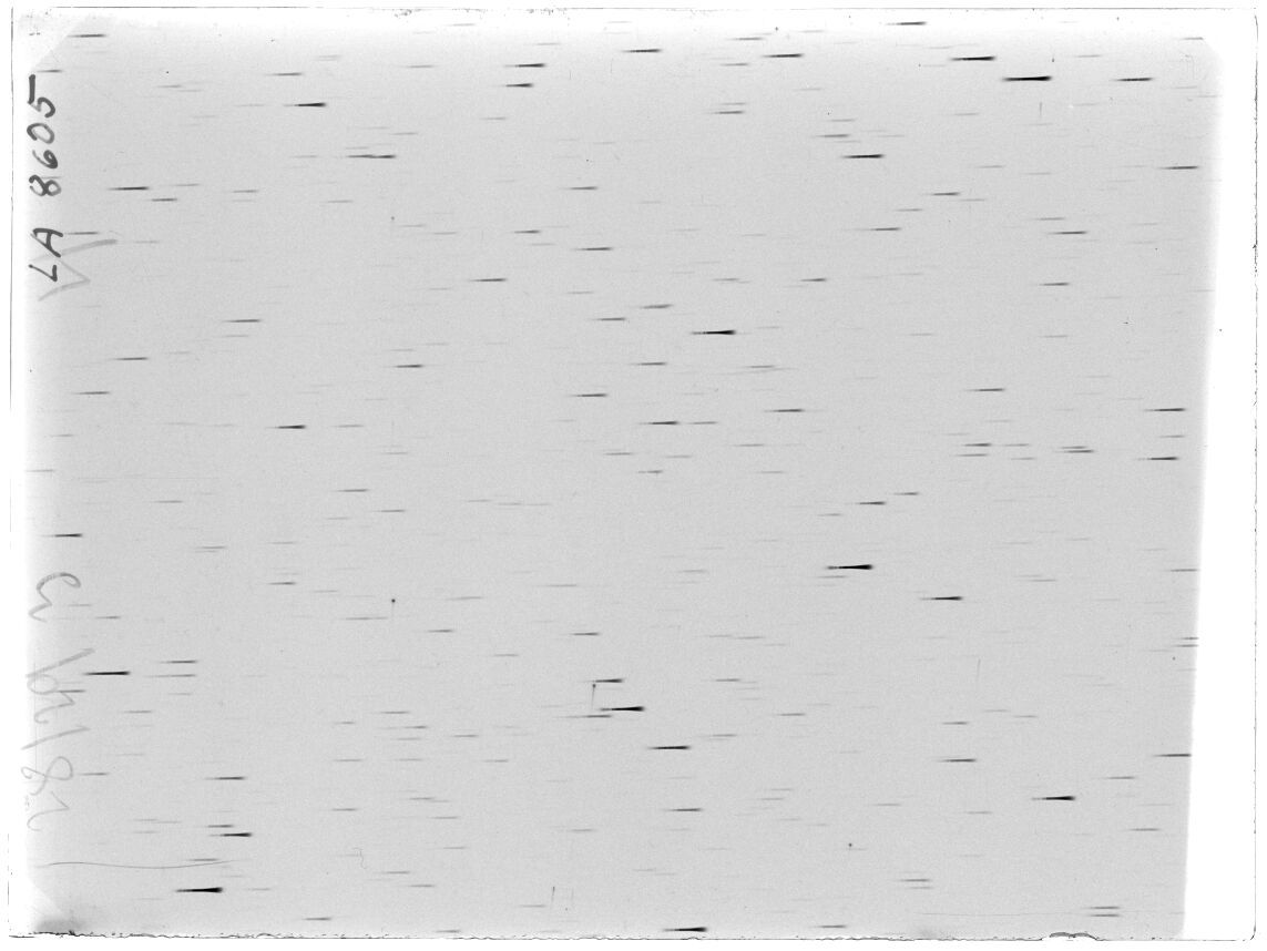 Scan LA08605