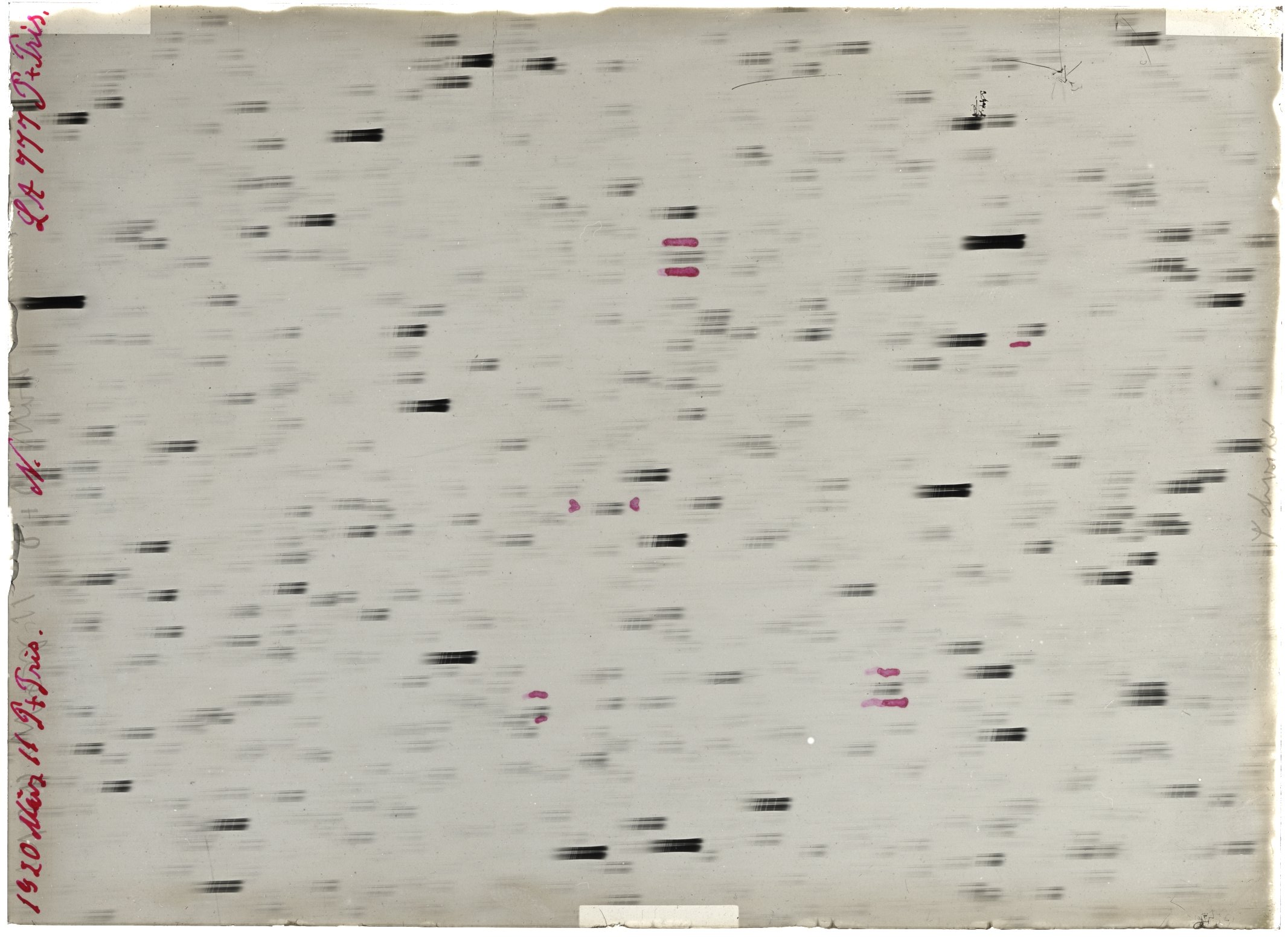 Scan LA00777