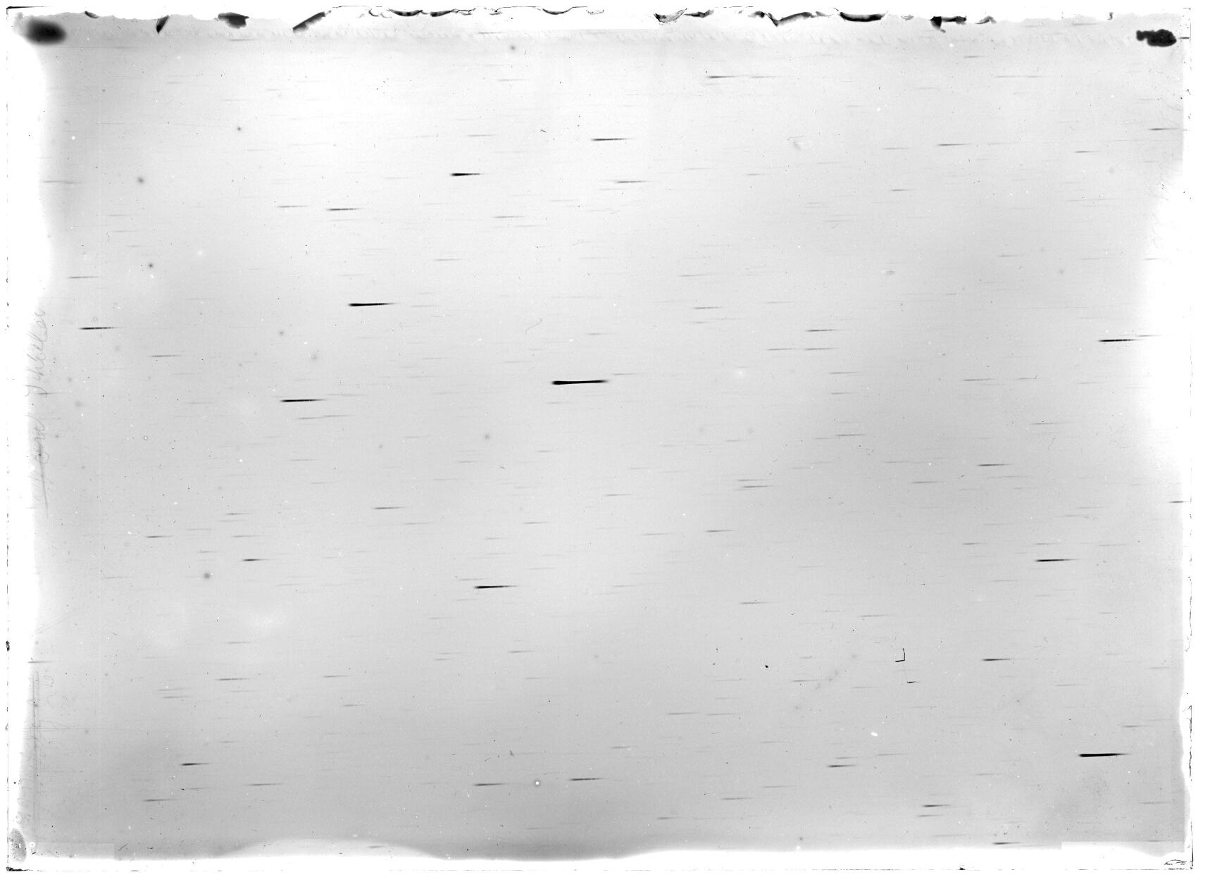Scan LA00817