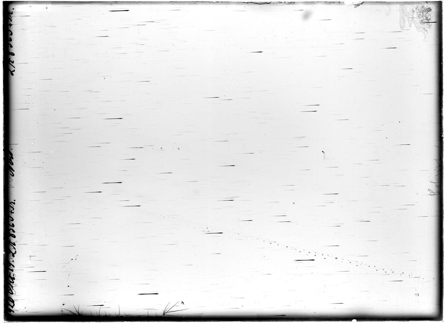 Scan LA00856