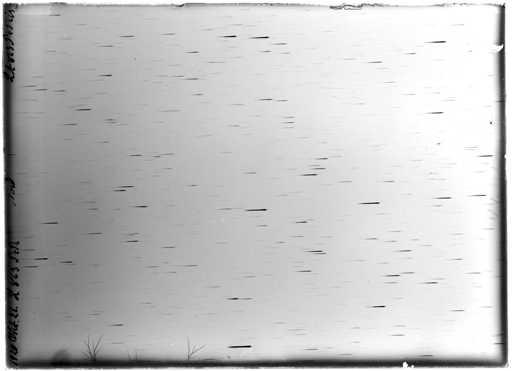 Scan LA00863