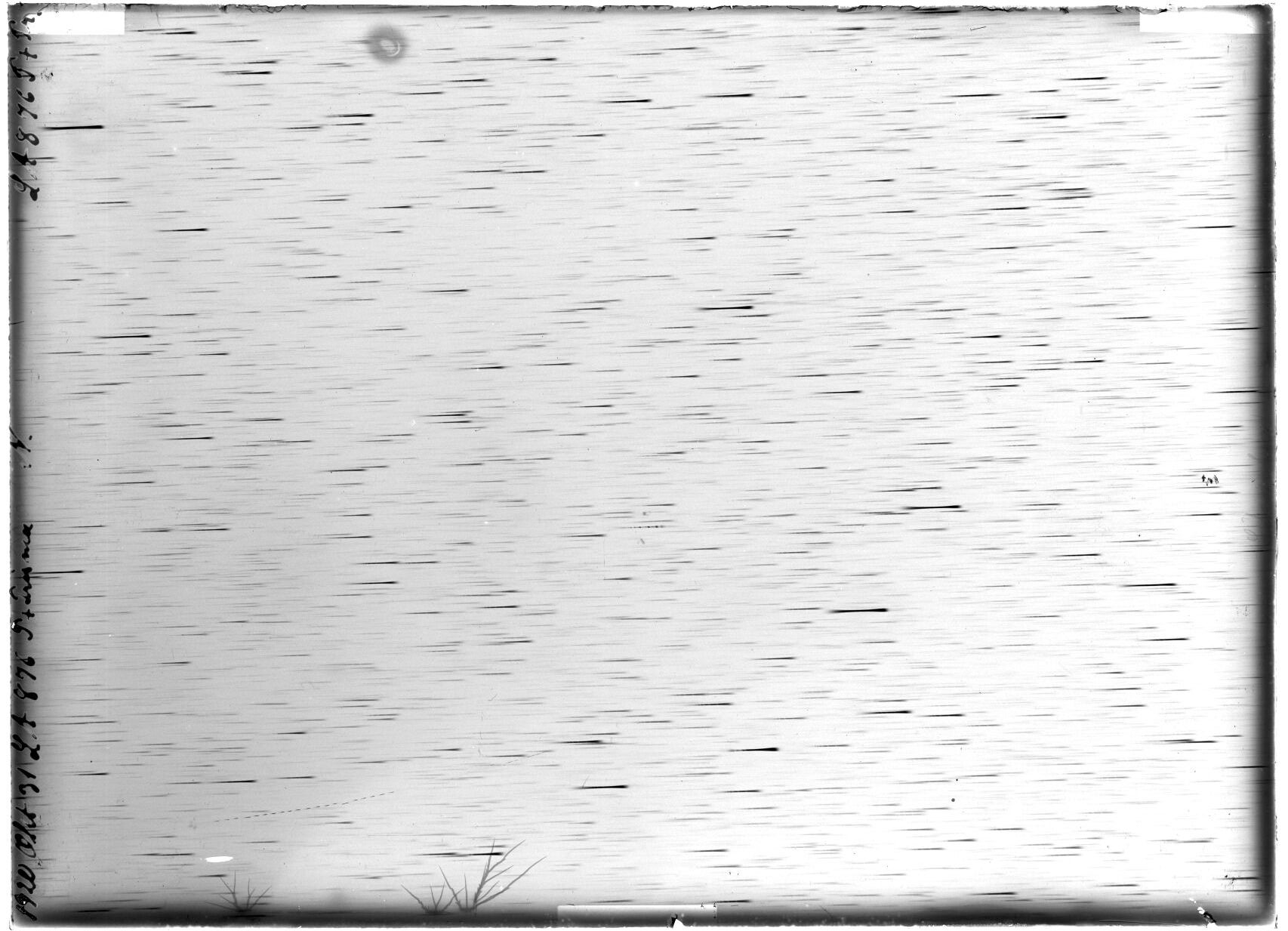 Scan LA00876