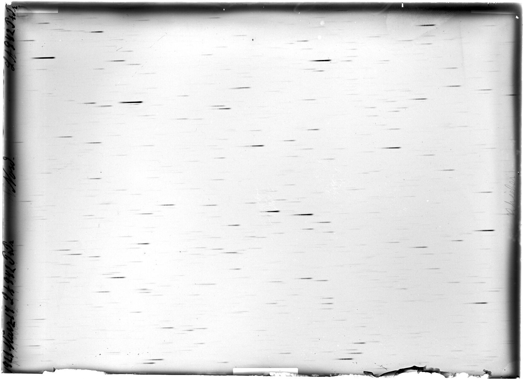 Scan LA00942