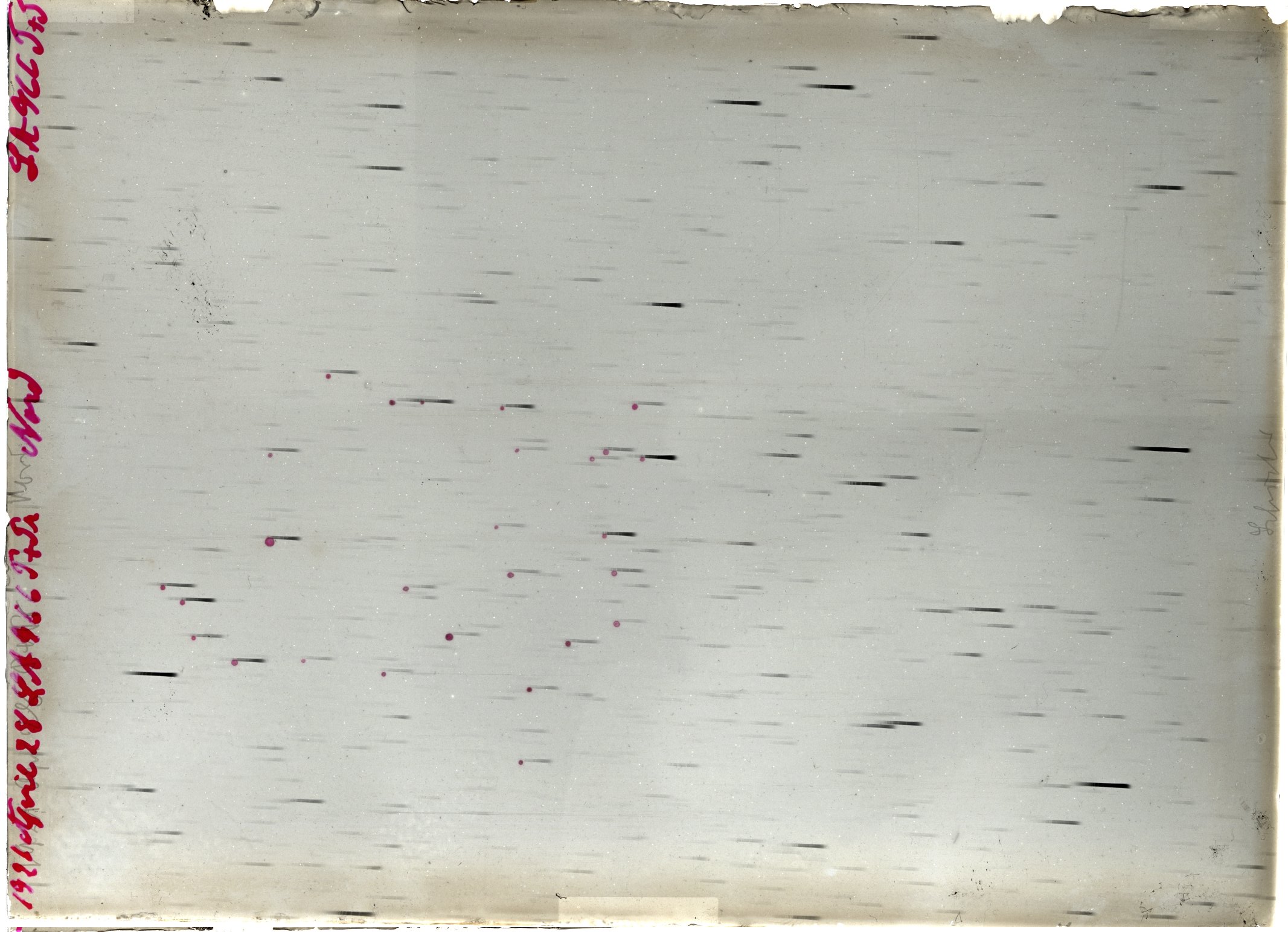 Scan LA00966