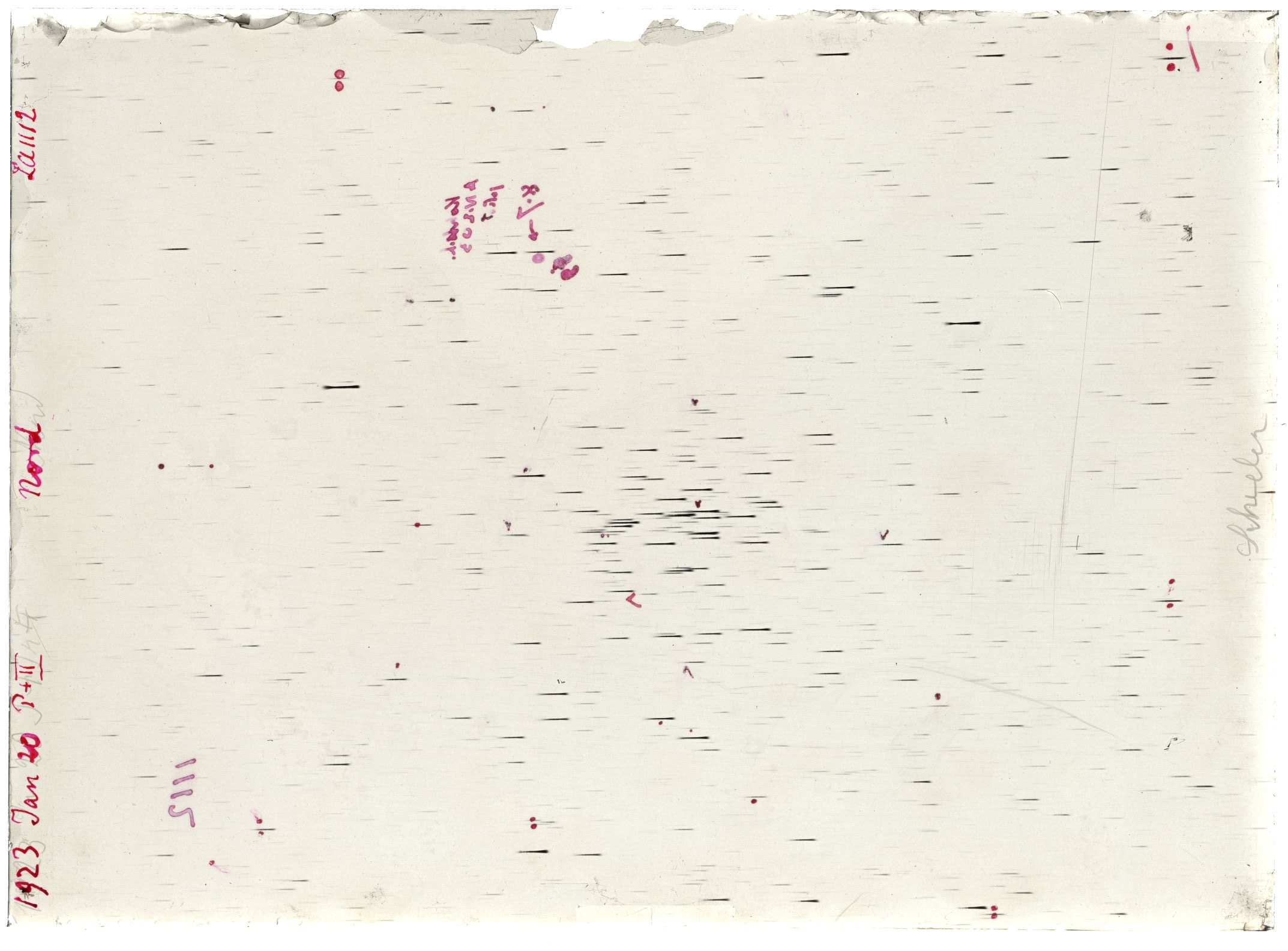 Scan LA01112
