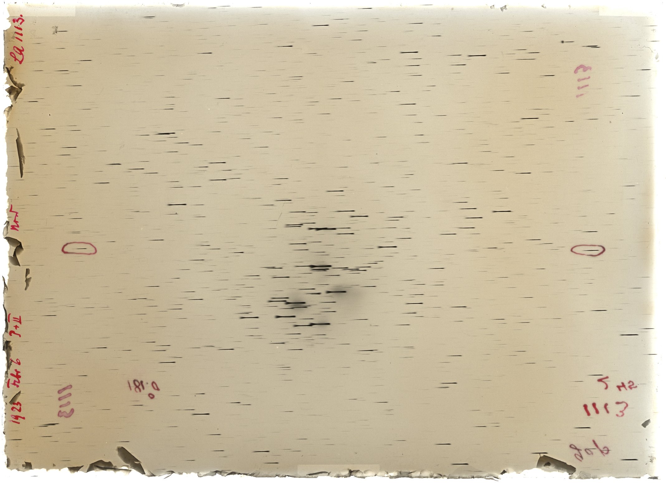 Scan LA01113