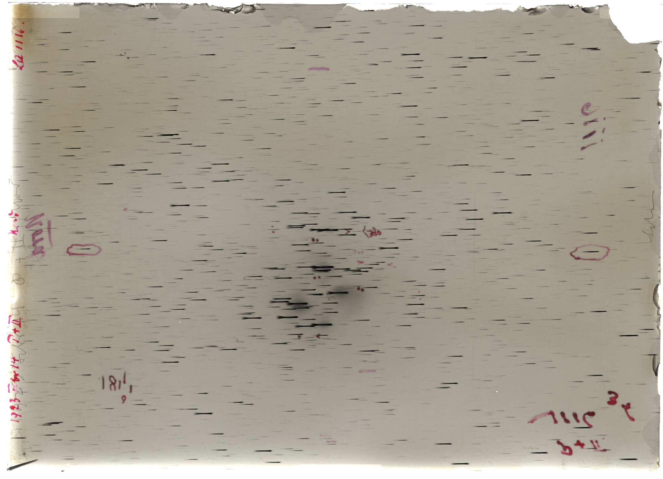 Scan LA01116
