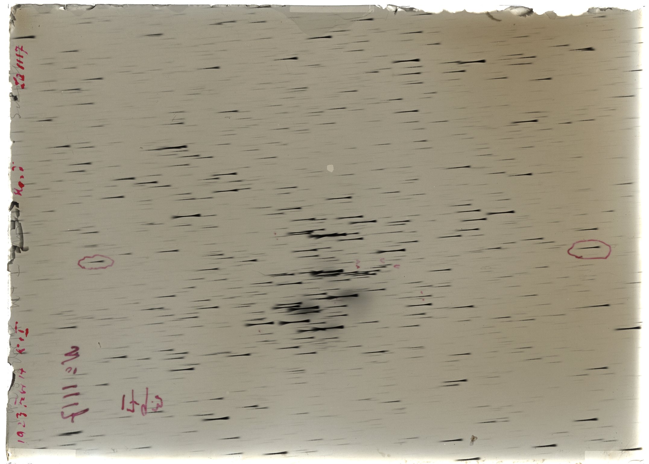 Scan LA01117