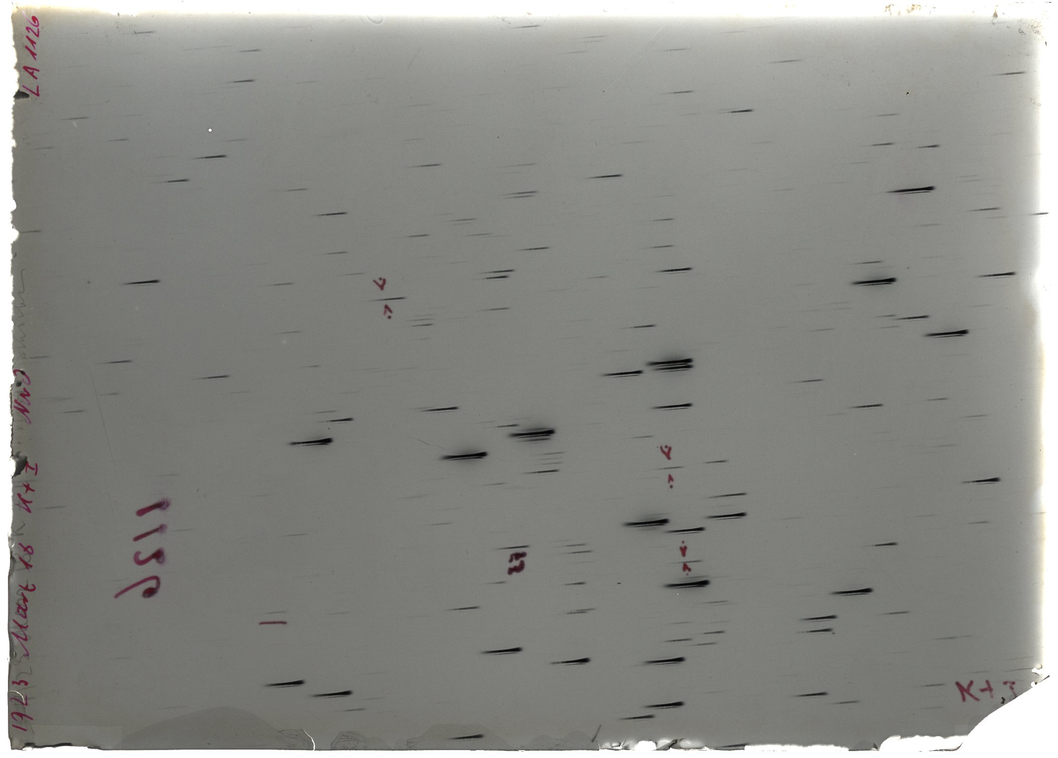 Scan LA01126