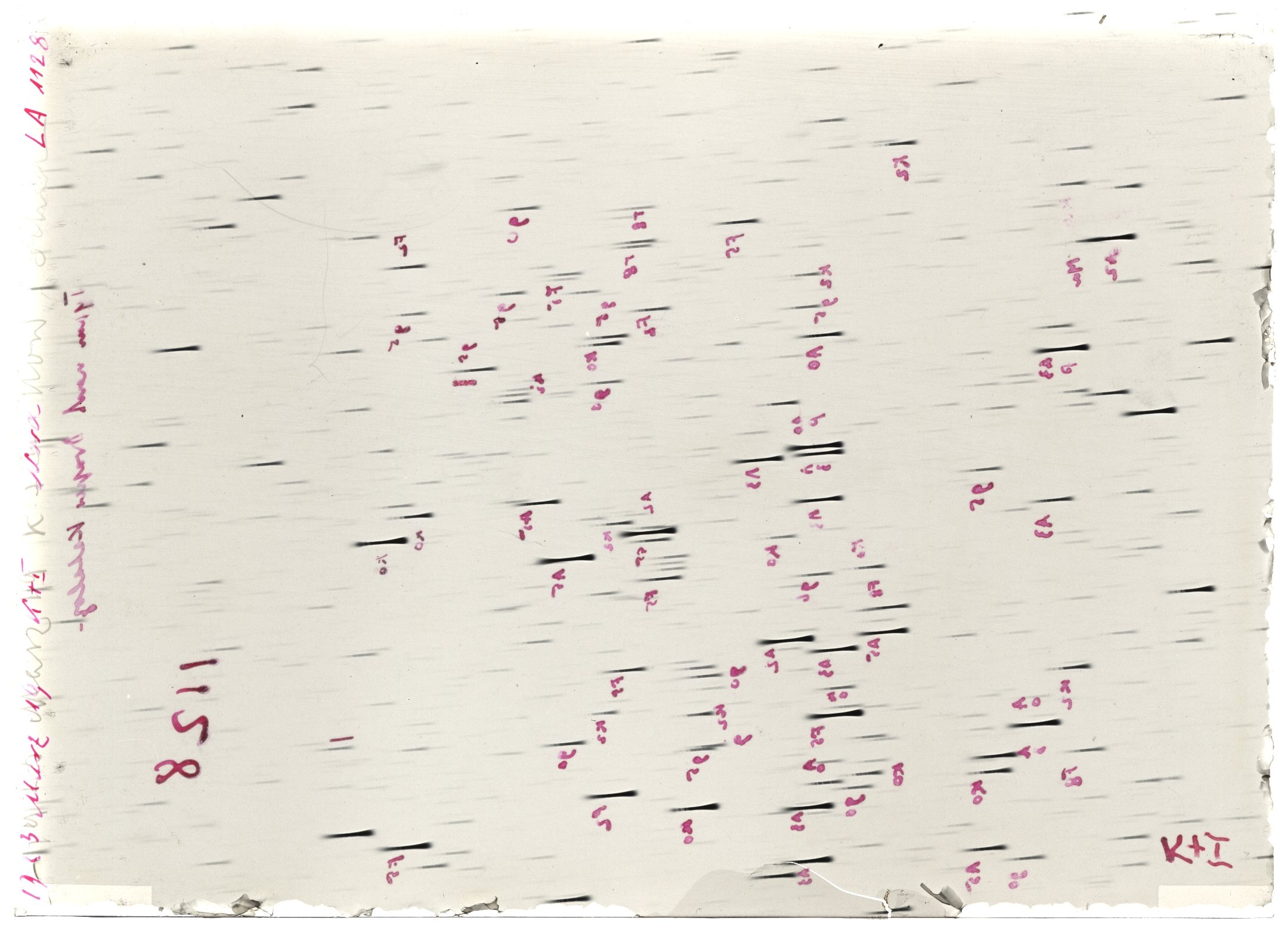 Scan LA01128