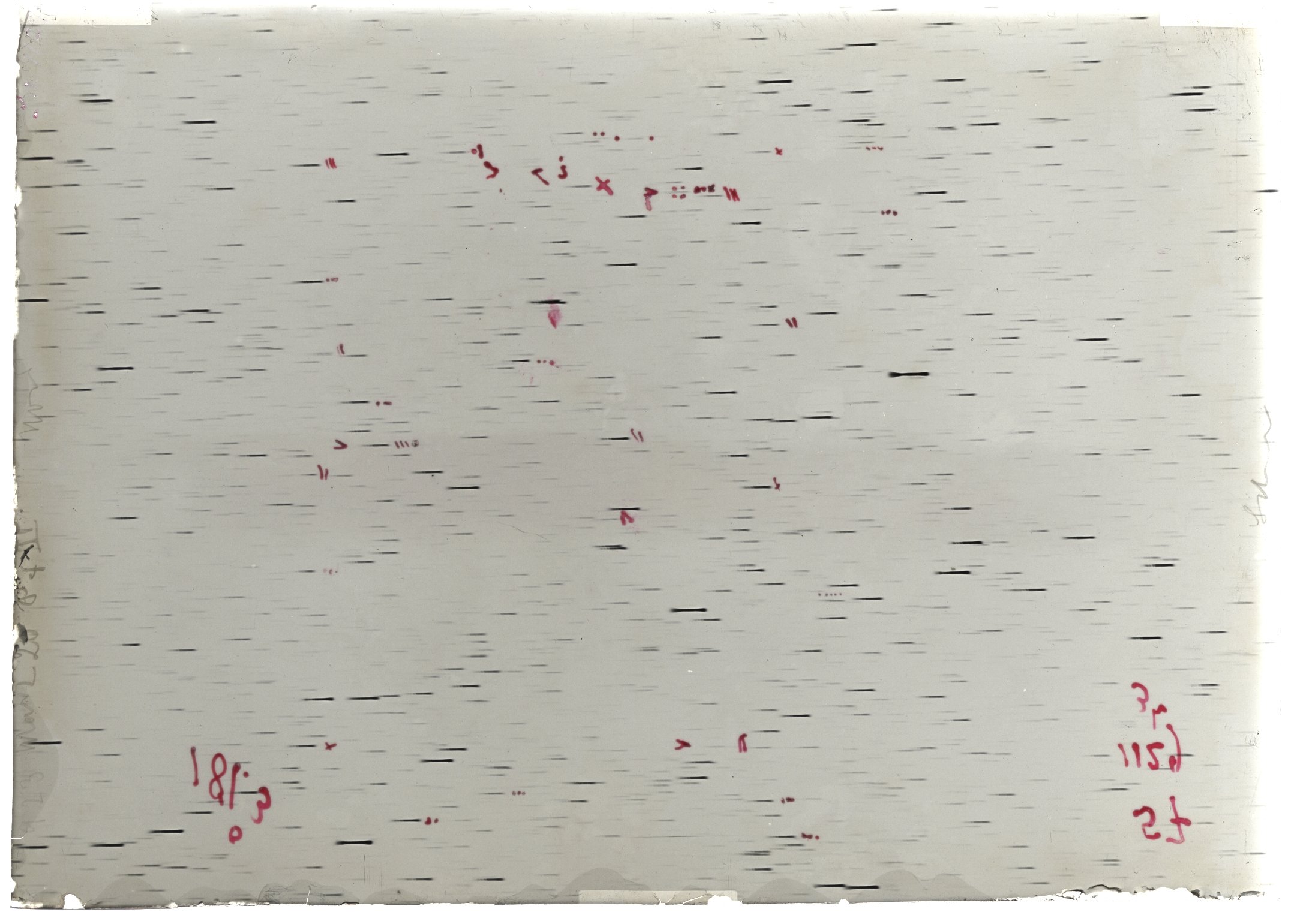 Scan LA01129
