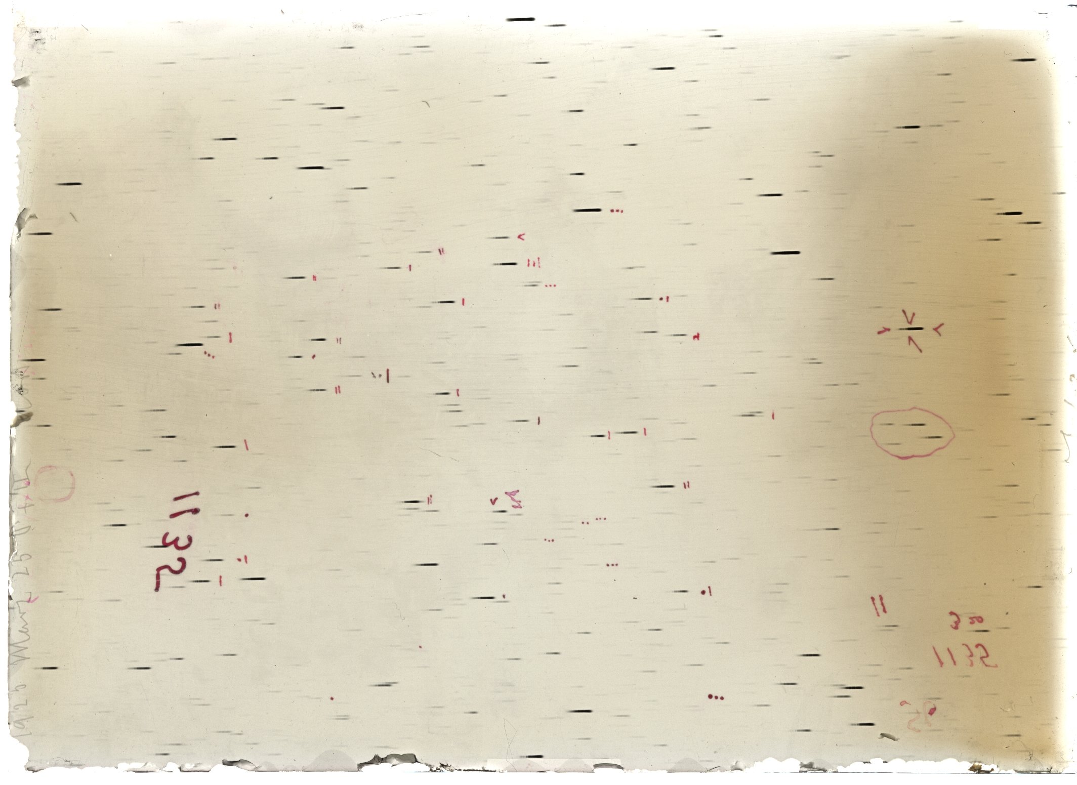Scan LA01135