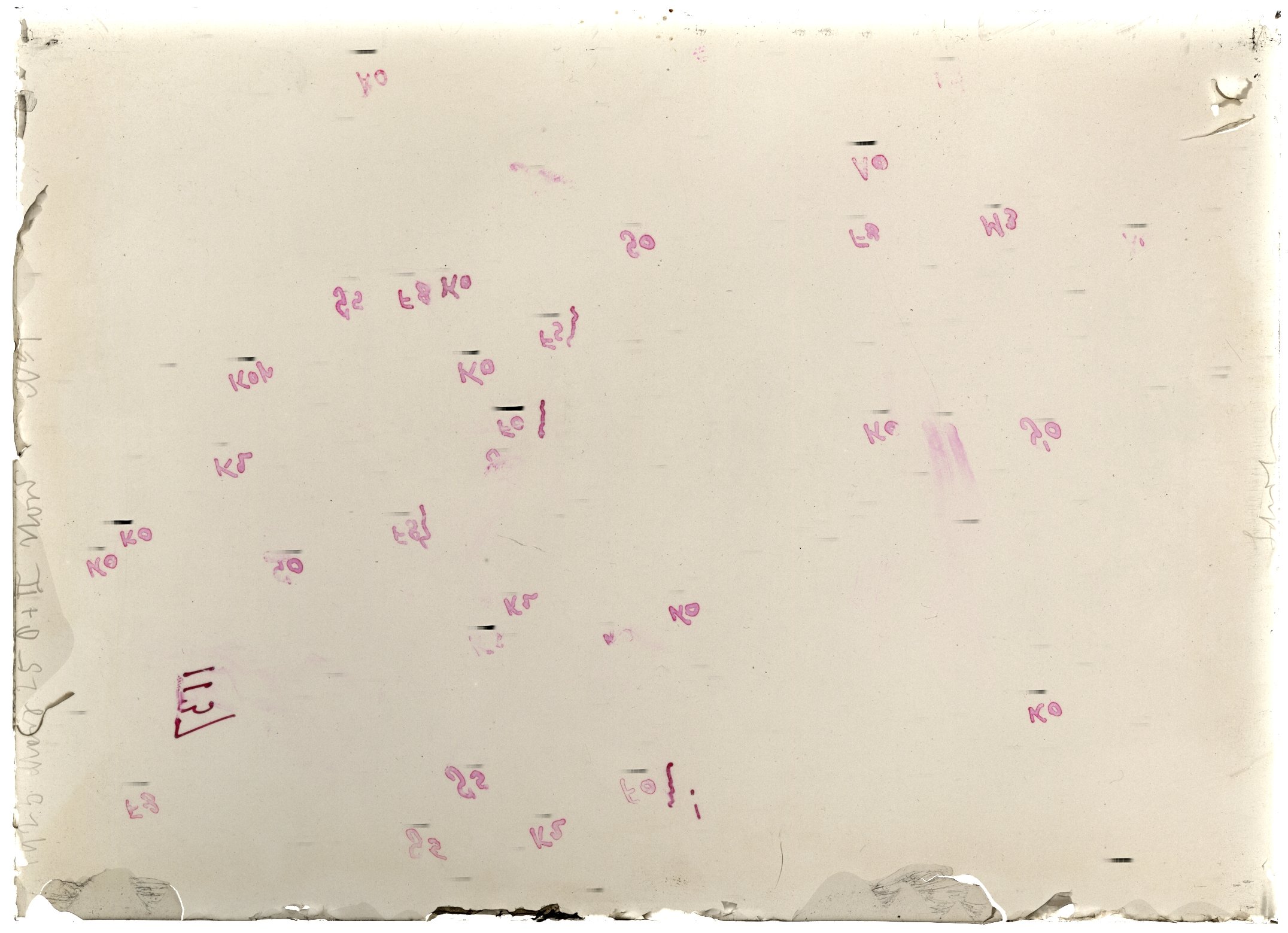 Scan LA01137