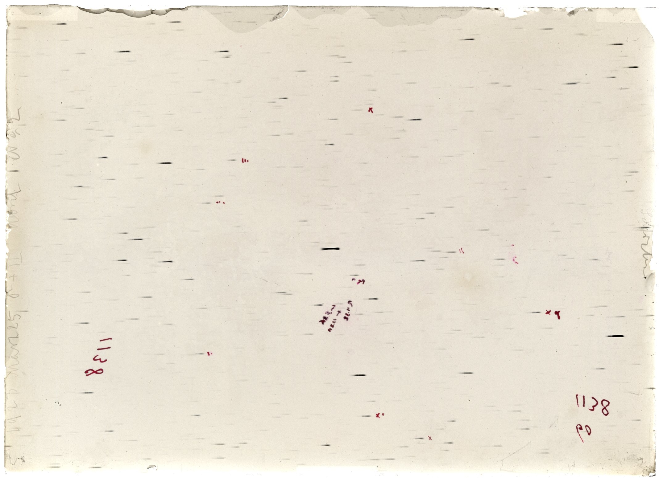 Scan LA01138