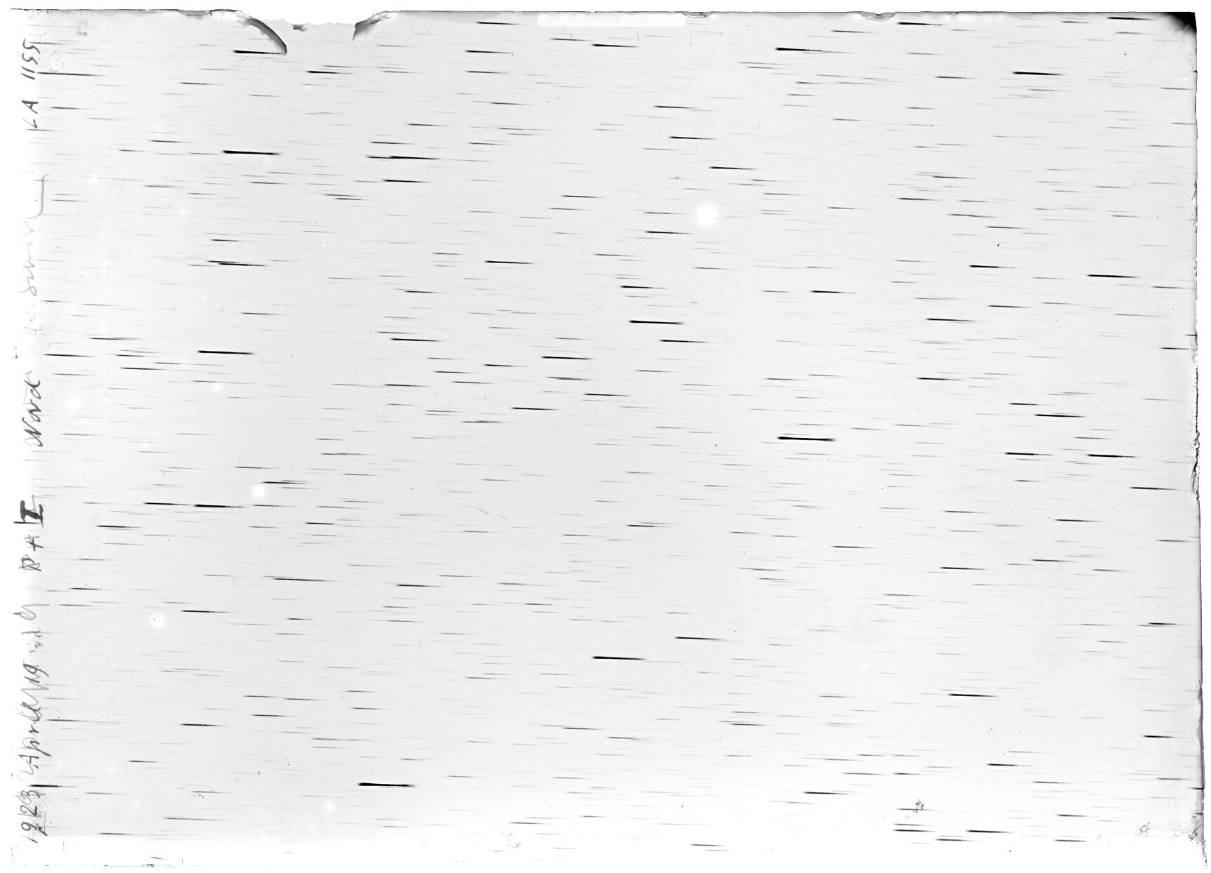 Scan LA01155