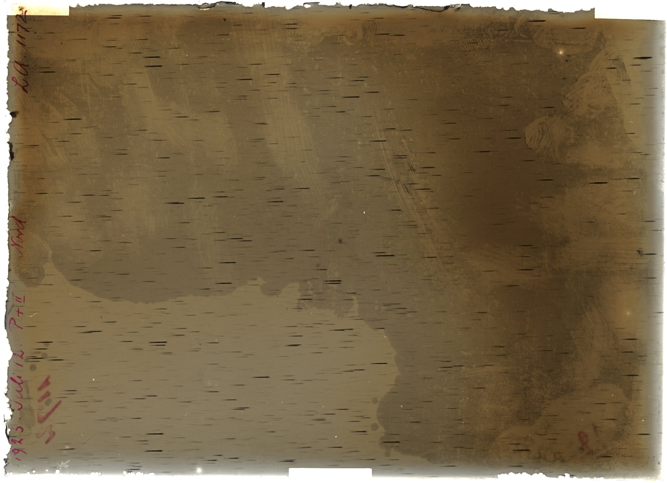 Scan LA01172