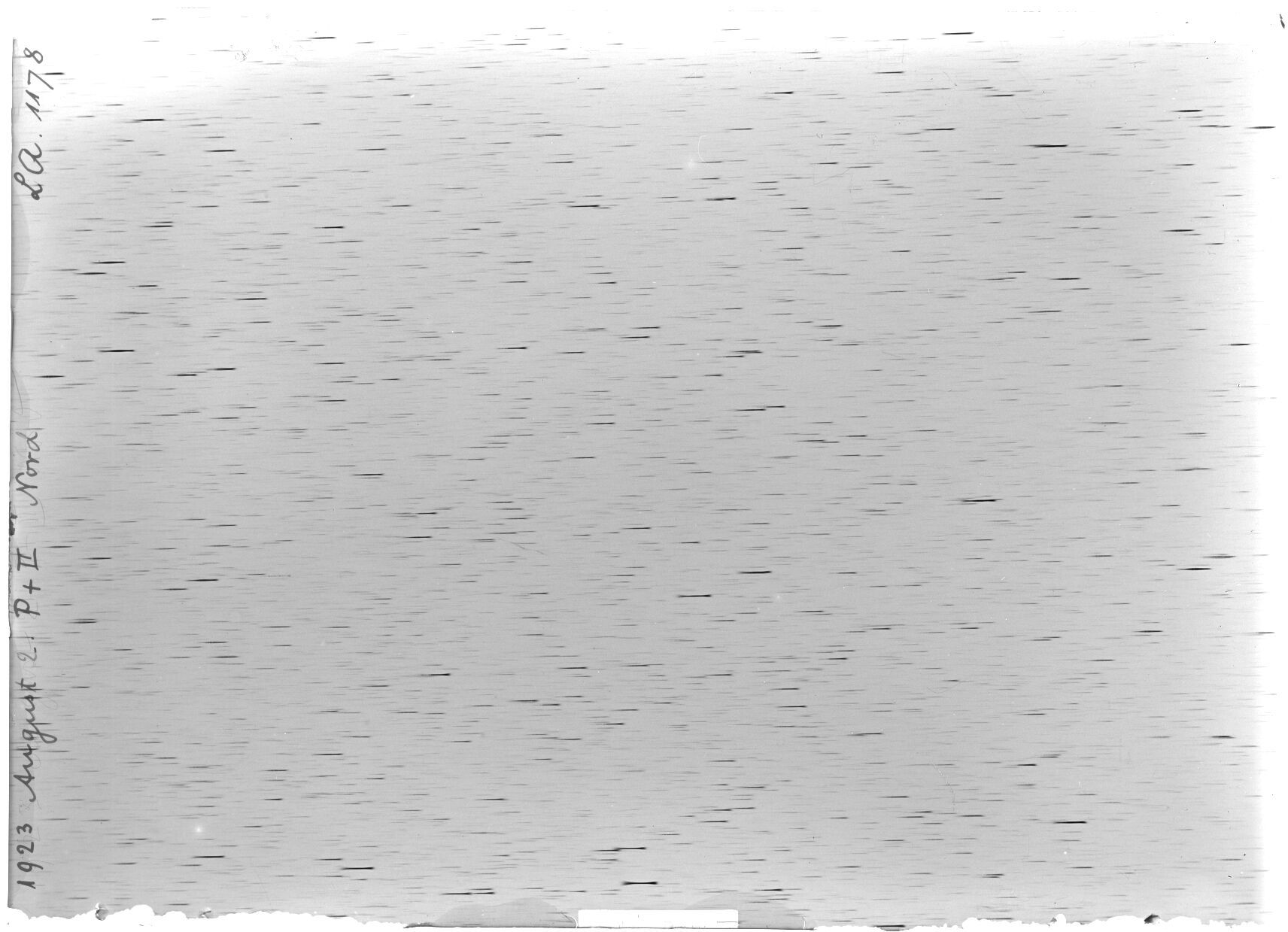 Scan LA01178