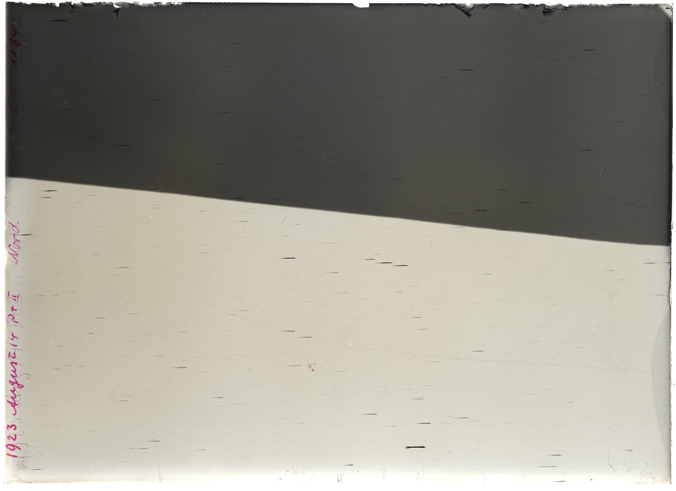 Scan LA01184