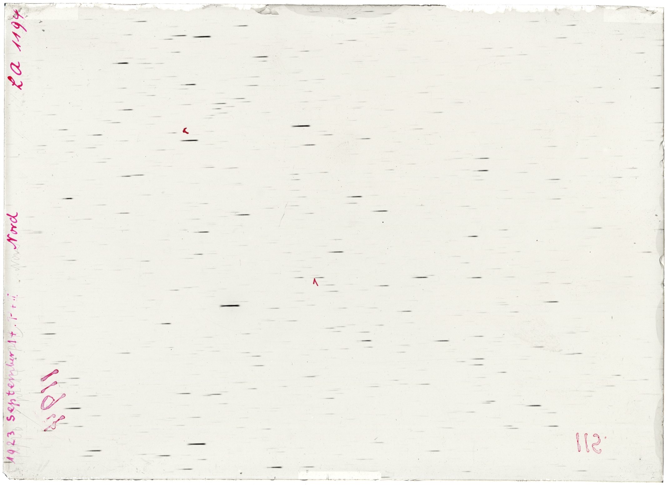 Scan LA01194