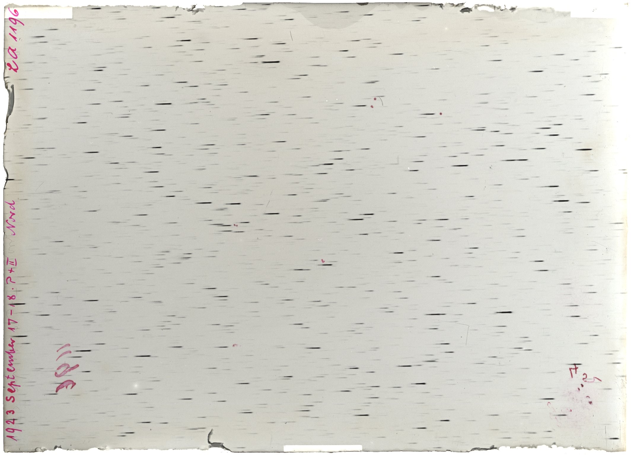 Scan LA01196